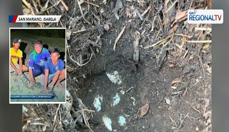 Isinusulong na ideklarang critical habitat ng Philippine crocodiles ang lugar na malapit sa ilog sa San Mariano, Isabela matapos na makumpirma ang mga pugad ng naturang uri ng buwaya na nanganganib maubos.